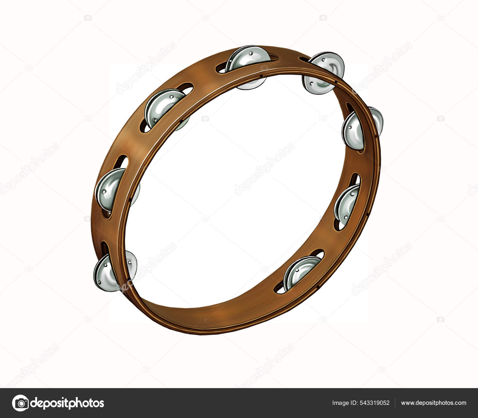 Tambourine Membrane Realistic Drawing Musical Instrument Illustration