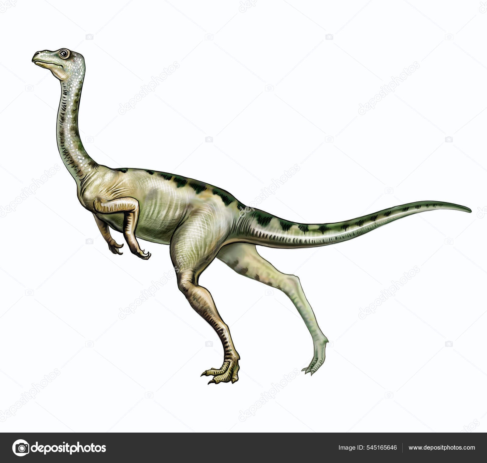 Ornithomimus Dinossauro Bípede Período Cretáceo Era Mesozóica