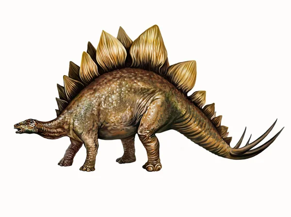 Stegosaurus Býložravý Dinosaurus Jurského Období Mezozoické Éry Hroty Kostní Desky — Stock fotografie