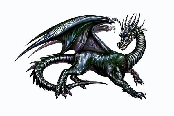 Black Dragon with wings, fabulous creature, isolated character on white background