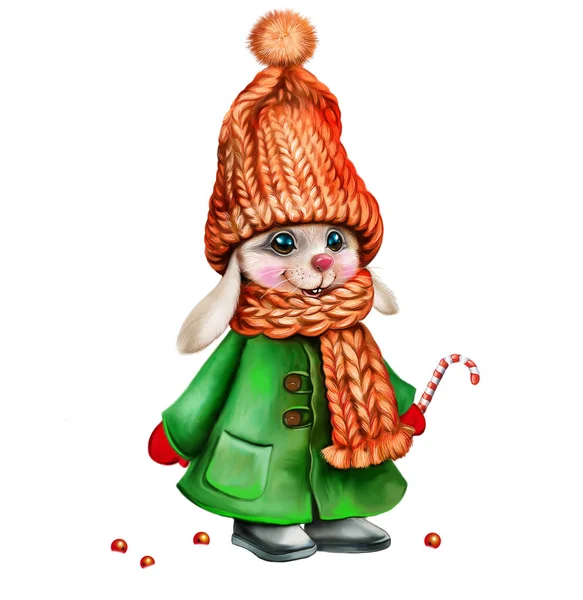 Смешной Мультяшный Кролик Зимнем Пальто Шляпе Рождественскими Конфетками Символ Зайца — стоковое фото