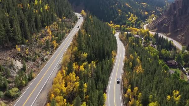 Automóviles en carretera en el Bosque Nacional Arapaho en otoño. Aerial View, Colorado, Estados Unidos — Vídeo de stock