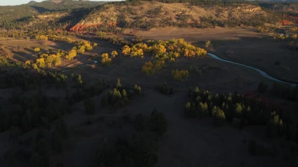 Diabelska Wieża Butte rano. Krajobraz hrabstwa Crook w Wyoming. Widok z powietrza — Wideo stockowe