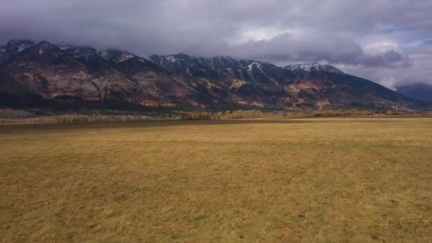 Teton Range und Wiese am bewölkten Herbsttag. Wyoming, USA. Luftaufnahme — Stockvideo