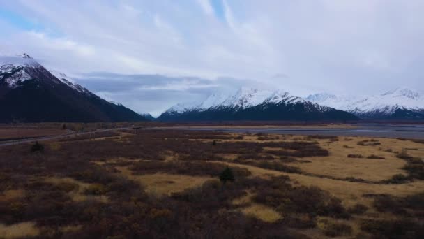 Красные буши и горы в осенний день. Аляска, США. Вид с воздуха — стоковое видео