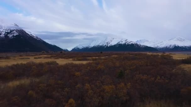 Κόκκινες βούρτσες και βουνά την ημέρα του φθινοπώρου. Αλάσκα, ΗΠΑ. Αεροφωτογραφία — Αρχείο Βίντεο