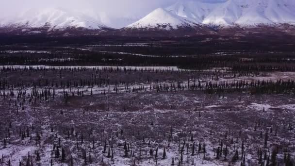 Τοπίο της Αλάσκας το χειμώνα. Χιονισμένα Βουνά. ΗΠΑ. Αεροφωτογραφία — Αρχείο Βίντεο