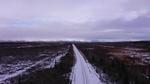 Στο σιδηρόδρομο της Αλάσκα το χειμώνα. ΗΠΑ. Αεροφωτογραφία — Αρχείο Βίντεο