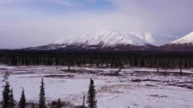 Alaska 'nın kışın manzarası. Karla kaplı dağlar. ABD. Hava Görünümü