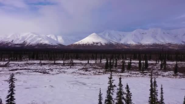 冬のアラスカの自然。雪に覆われた山々。アメリカだ。空中展望 — ストック動画