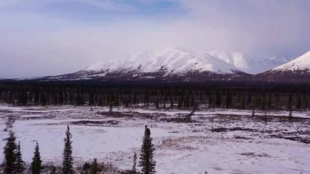 Пейзаж Аляски зимой. Заснеженные горы. США. Вид с воздуха — стоковое видео
