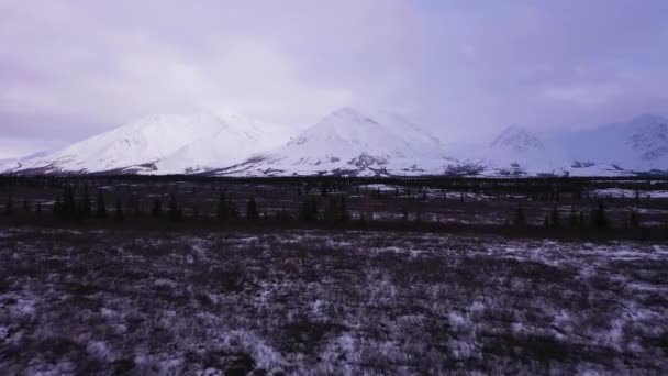 Landschap van Alaska in de winter. Verenigde Staten. Luchtzicht — Stockvideo