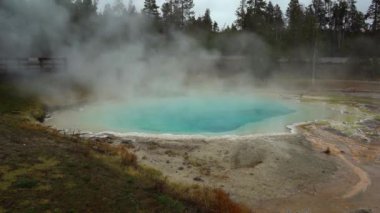 Silex Spring 'de. Yellowstone Ulusal Parkı