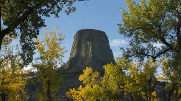 Sonbaharda Şeytani Kule Butte ve Sarı Ağaçlar. Wyoming, ABD — Stok video