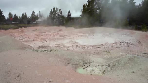 Fountain Paint Pot. Yellowstone National Park — Stock Video