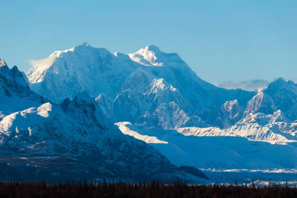 Güneşli bir günde Mavi Dağ Avcısı. Alaska, ABD