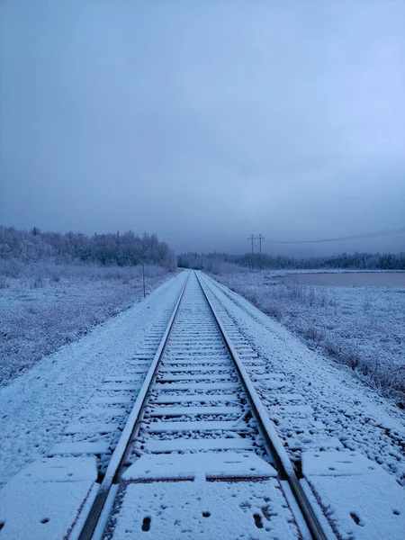 Alaska 'da kışın demiryolu. ABD