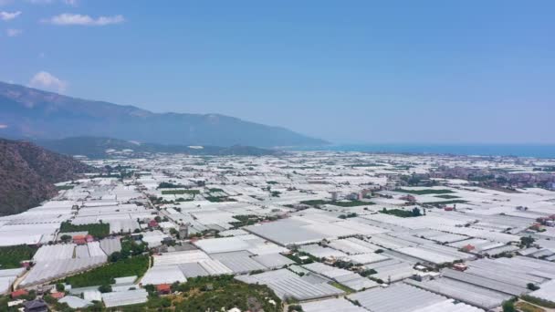Demre Town White Greenhouses Antalya Turkey Aerial View Drone Flies — Vídeo de stock