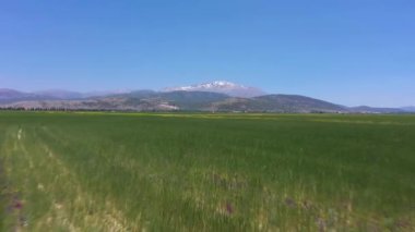 Green Field on Sunny Day. Aerial View. Isparta, Turkey. Drone Flies Forward at Low Level