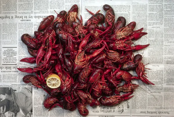 Pile of Cooked Crayfish — Stock Photo, Image