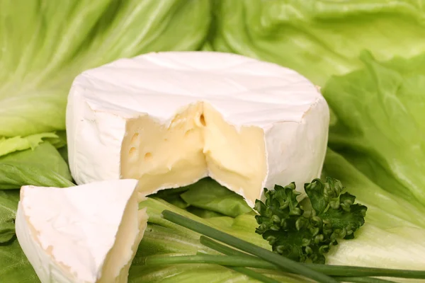 Cortar queso blando — Foto de Stock