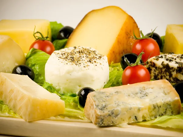 Different varieties of cheeses — Stock Photo, Image