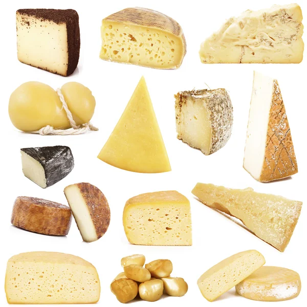 Different kinds of Italian cheese — Stock Photo, Image