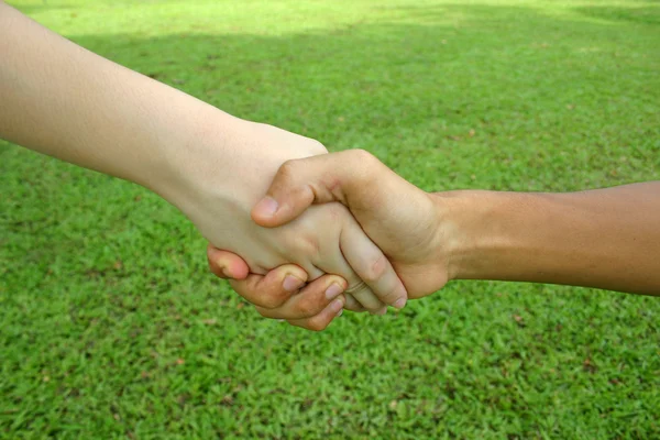 Dando la mano — Foto de Stock