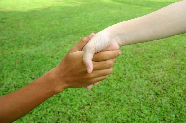 Dando la mano — Foto de Stock