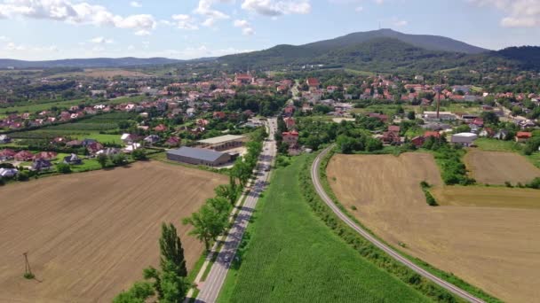Vue aérienne du village près des montagnes. Paysage rural — Video
