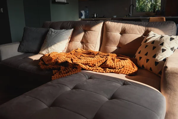 Sofa Mit Karo Und Tasse Tee Platz Zum Entspannen Gemäßigte — Stockfoto