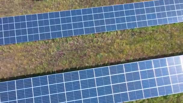 フィールド内の太陽光発電パネルファーム — ストック動画