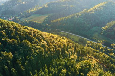 Orman sıradağları üzerinde güzel bir gün doğumu