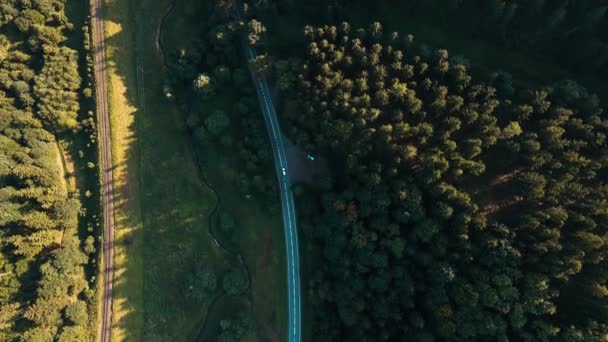 Auto beweegt op de weg door dennenbos, vanuit de lucht — Stockvideo