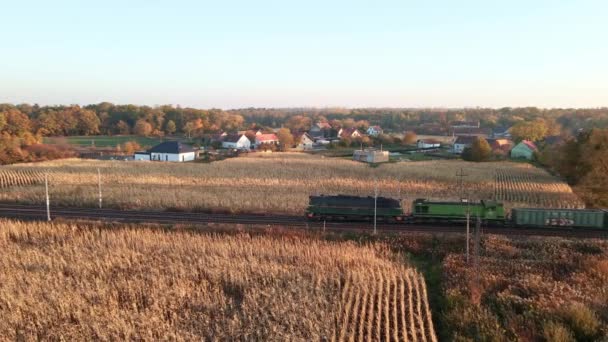 Goederen- en passagierstreinen die op elkaar afkomen, vanuit de lucht bekeken — Stockvideo