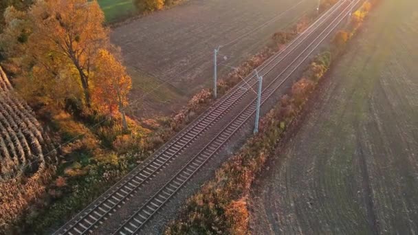 Luchtfoto van spoorlijnen in de landbouw — Stockvideo