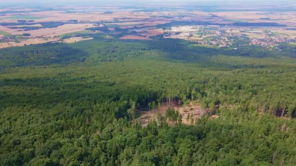 Vista aérea de montaña con bosque. Drone video — Vídeos de Stock
