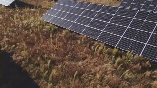 Granja de paneles solares en el campo — Vídeo de stock
