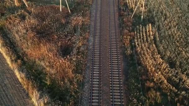 Vista aérea de la vía férrea entre los campos agrícolas — Vídeos de Stock
