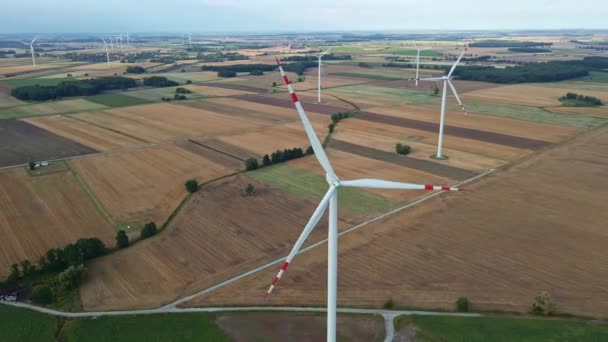 Turbina de molino de viento en el campo en el día de verano. Generador eólico giratorio — Vídeos de Stock