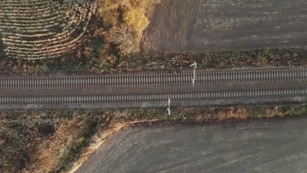 Luftaufnahme der Eisenbahnstrecke zwischen landwirtschaftlichen Feldern — Stockvideo