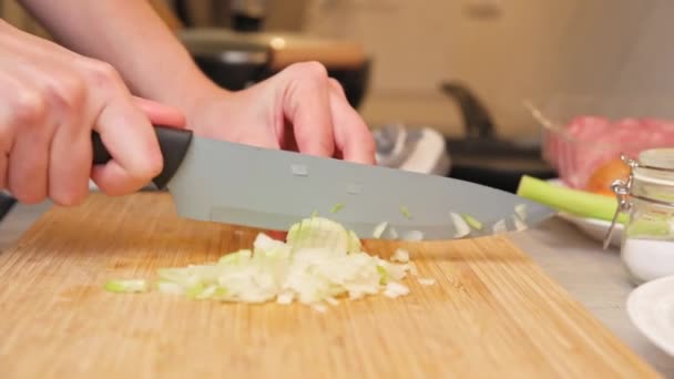 Mujer picando cebolla en la cocina, de cerca — Vídeo de stock