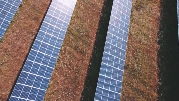 フィールド内の太陽電池パネルの行 太陽電池ファーム 空中ビュー 代替再生可能エネルギーの概念 — ストック動画