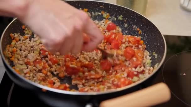 Mujer Cocinando Salsa Boloñesa Hembra Mezcla Mano Ingrediente Freír Sartén — Vídeos de Stock