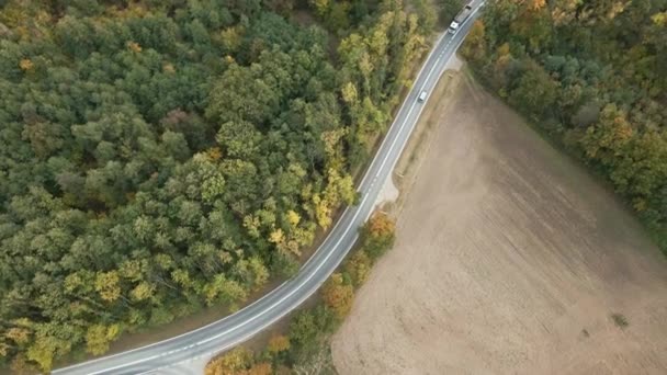 Auto fährt auf Straße durch Wald — Stockvideo