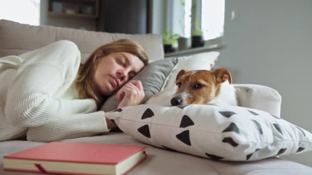 Kadın kanepede uyuyor. Yanında kitap ve köpek var. — Stok video