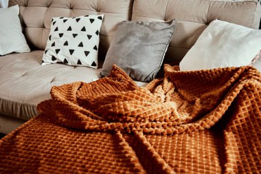 Rahatlamak için boş kanepe