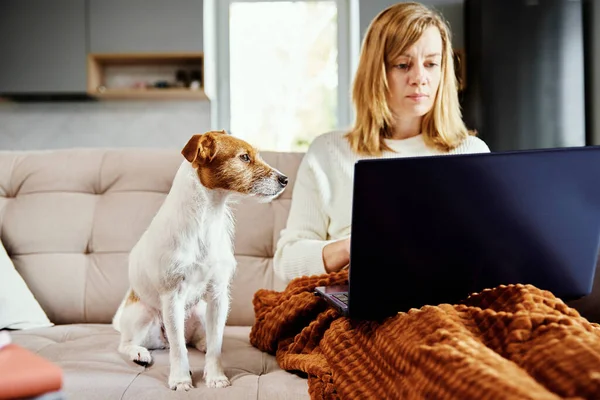 Woman working at home with her dog Stock Photo