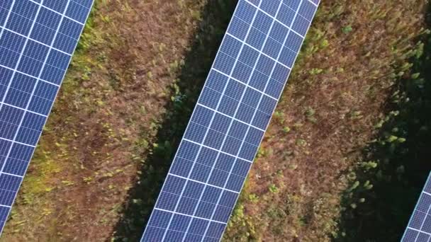 Painéis solares fazenda no campo — Vídeo de Stock