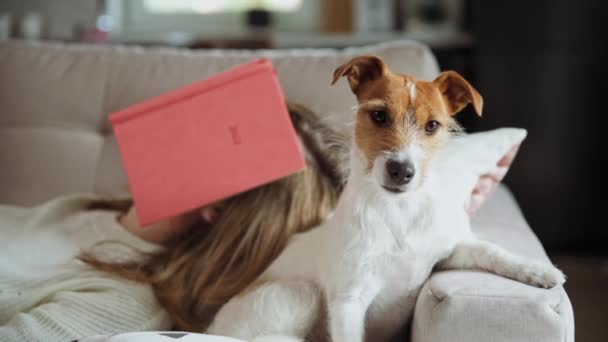 La mujer duerme en el sofá con el libro y el perro tirado cerca — Vídeos de Stock